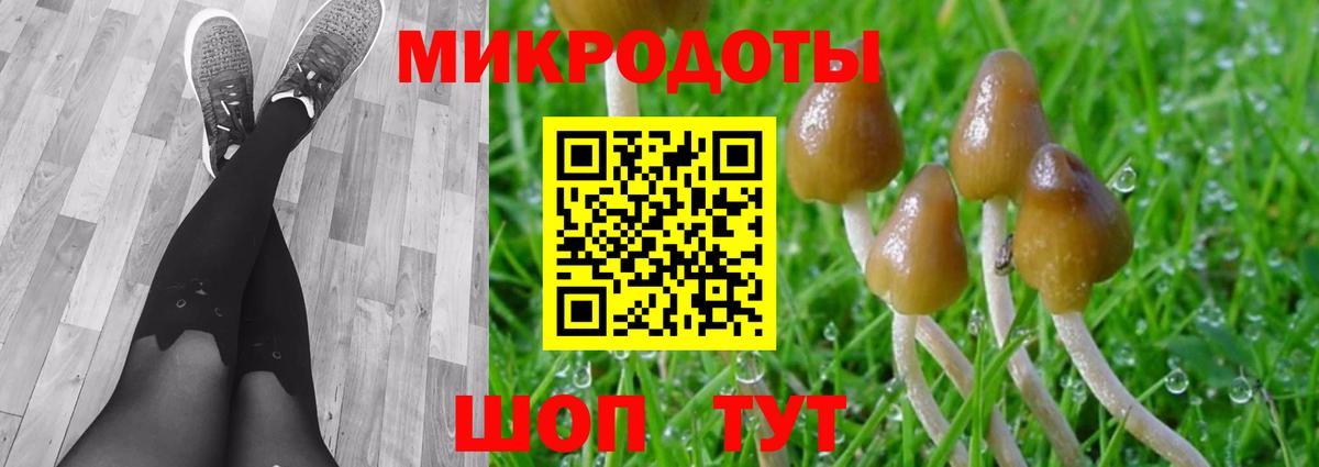 Галлюциногенные грибы Psilocybine cubensis  где найти наркотики  Всеволожск  Вход с VPN 